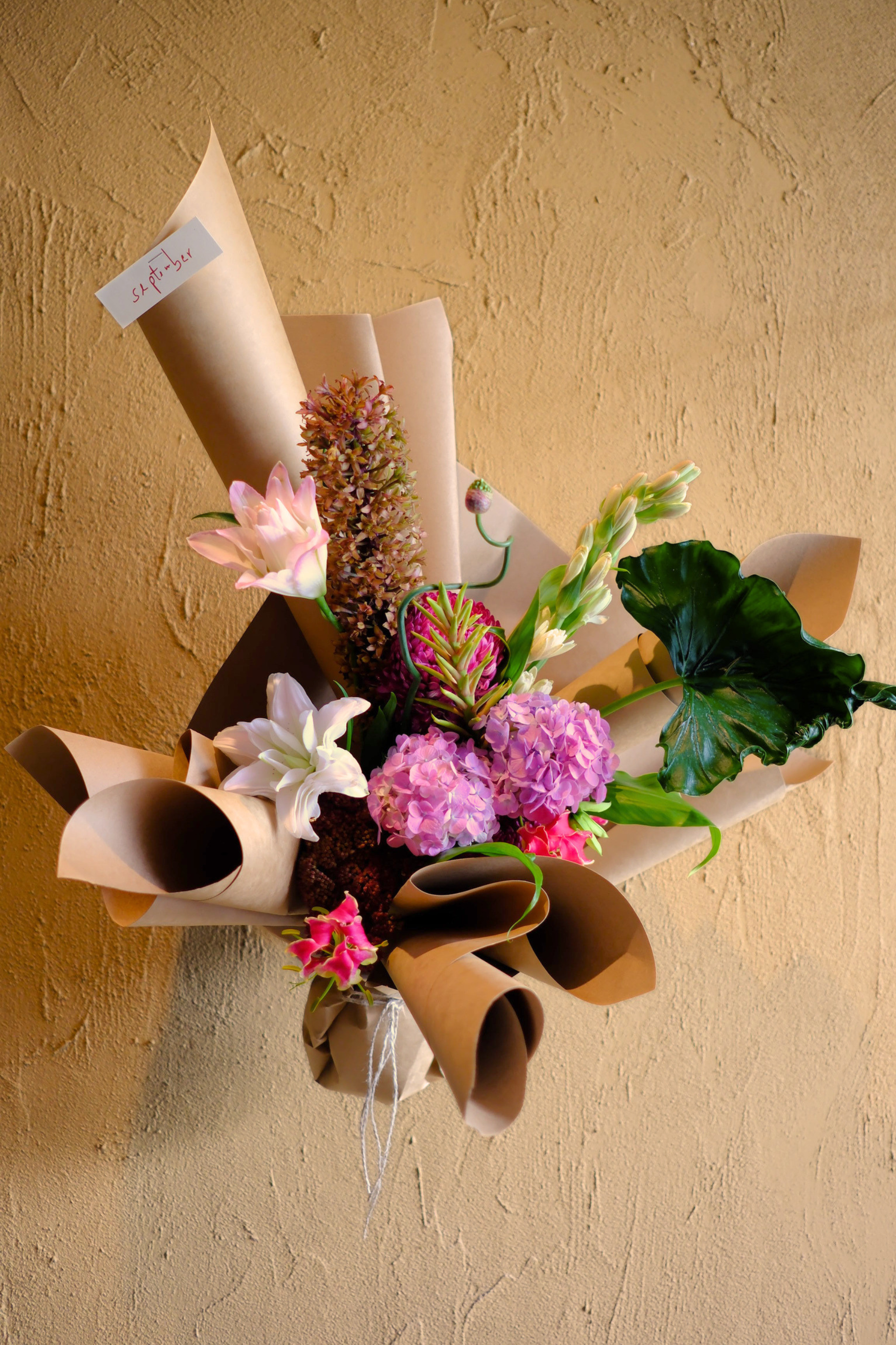 September Seasonal Medium