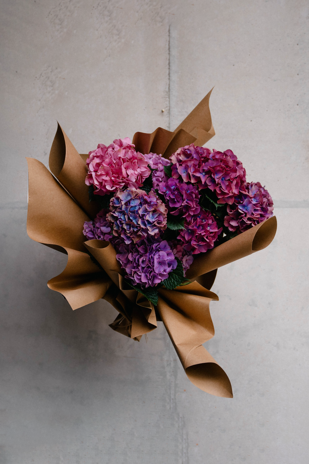 September Studio - Flower Studio - Sydney same Day Delivery