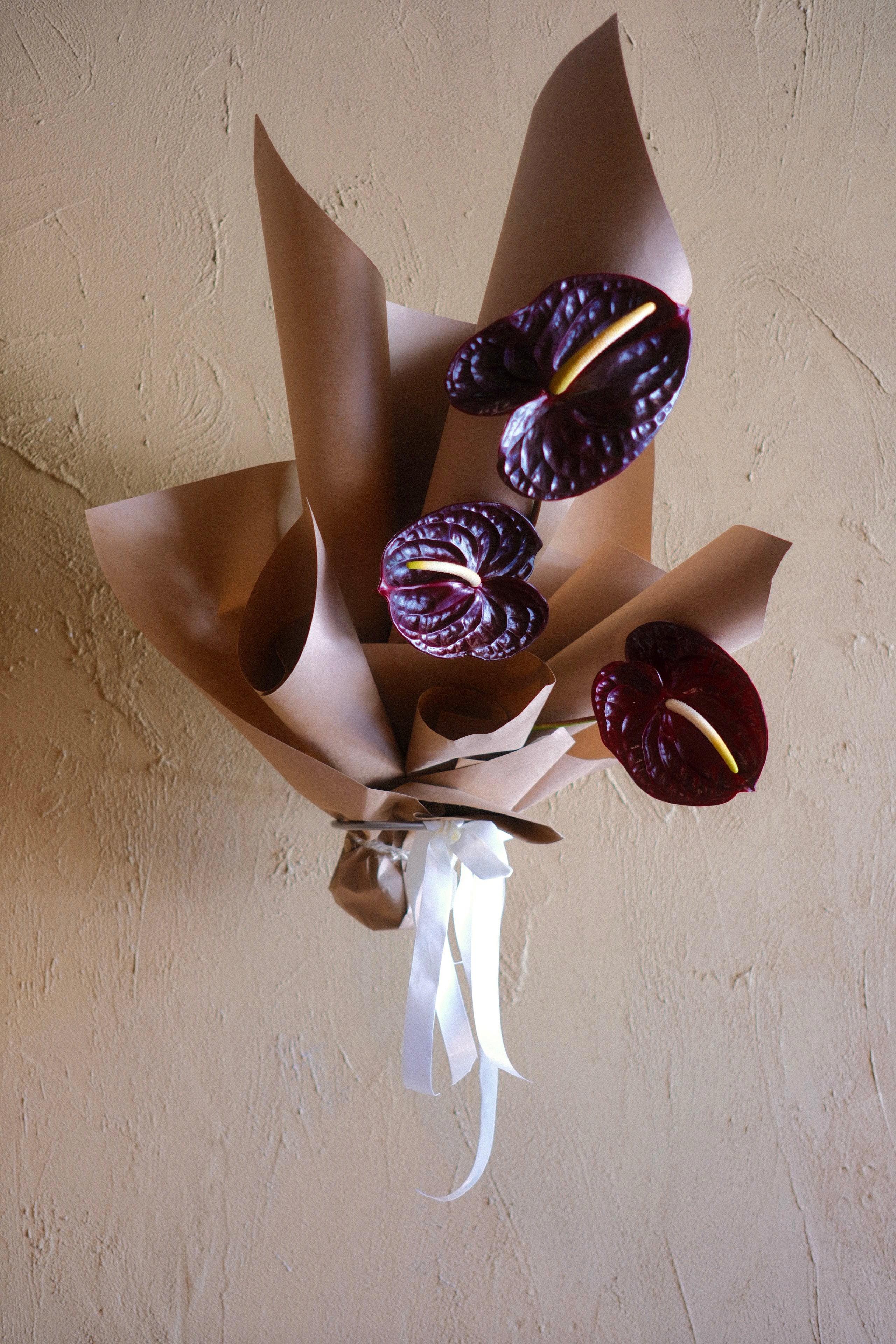 Anthuriums With Love