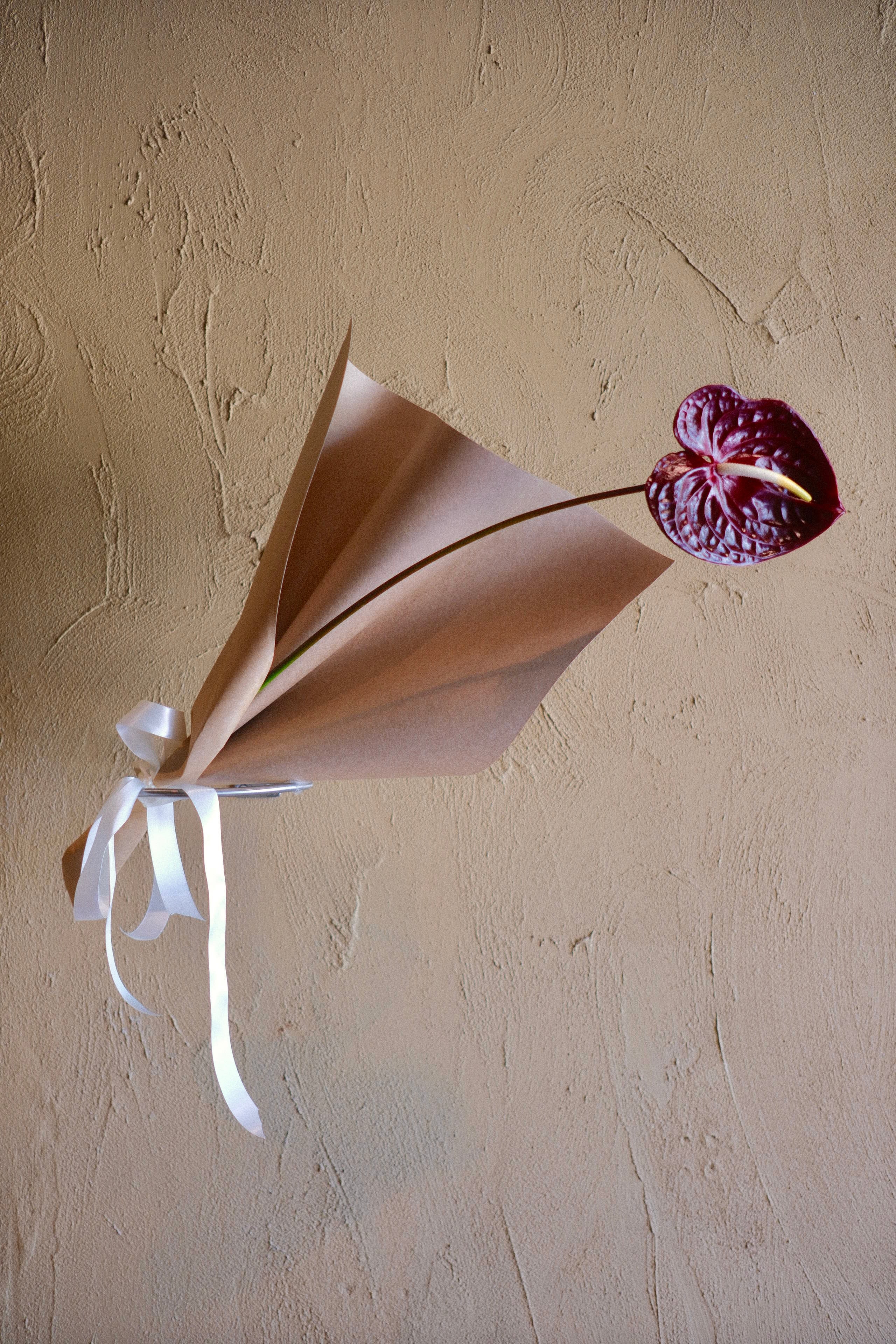 Anthuriums With Love