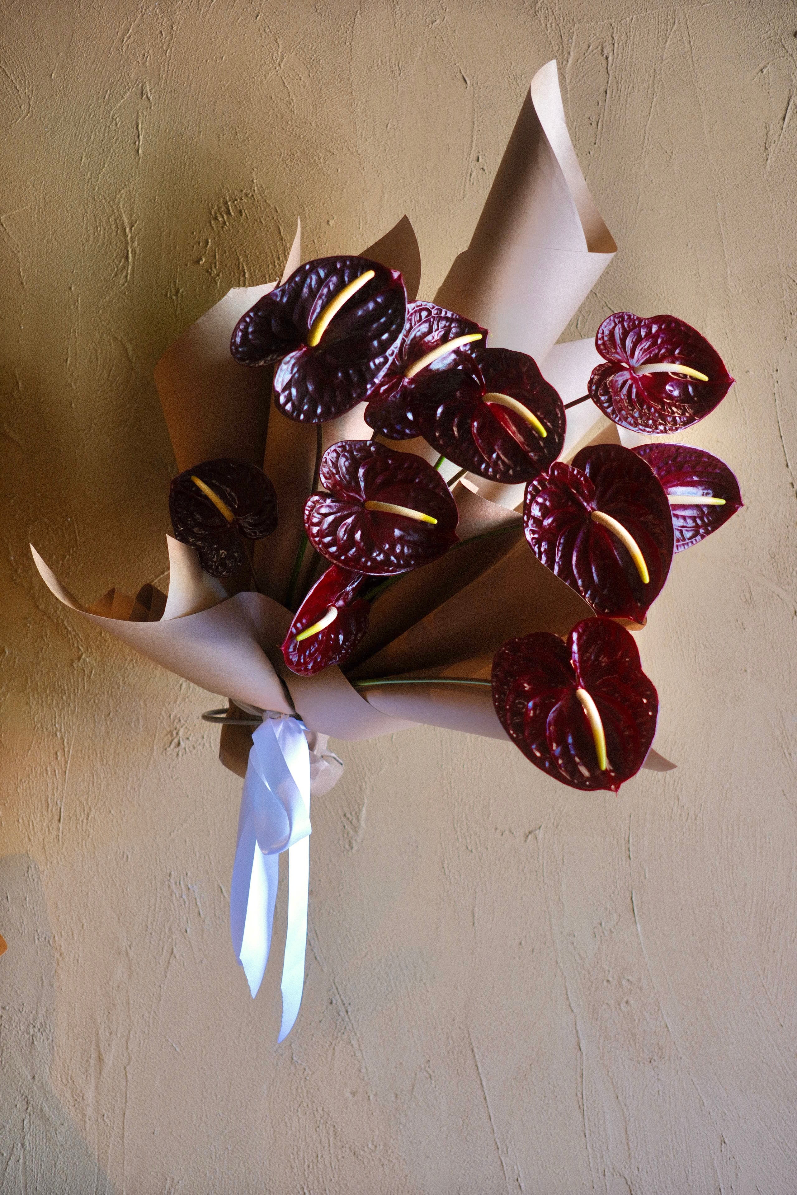 Anthuriums With Love